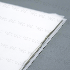 Khăn lau phòng sạch 1009SLE